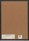 Cystopleura biharensis (Pant.) De-Toni (de-Toni-Nr.: Genus 103, Species 3124) Zeichnungen Sammlung Grunow Mappe 03361 (Herbarium_W_Grunow_drawings_Folder_03361)